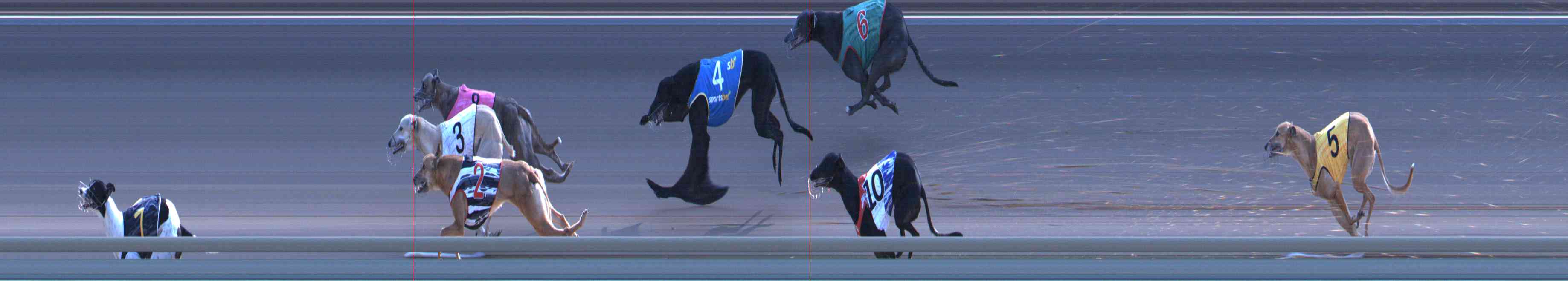 Photo finish for Healesville Race 12
