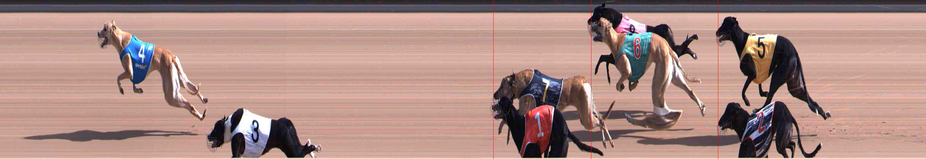 Photo finish for Healesville Race 2