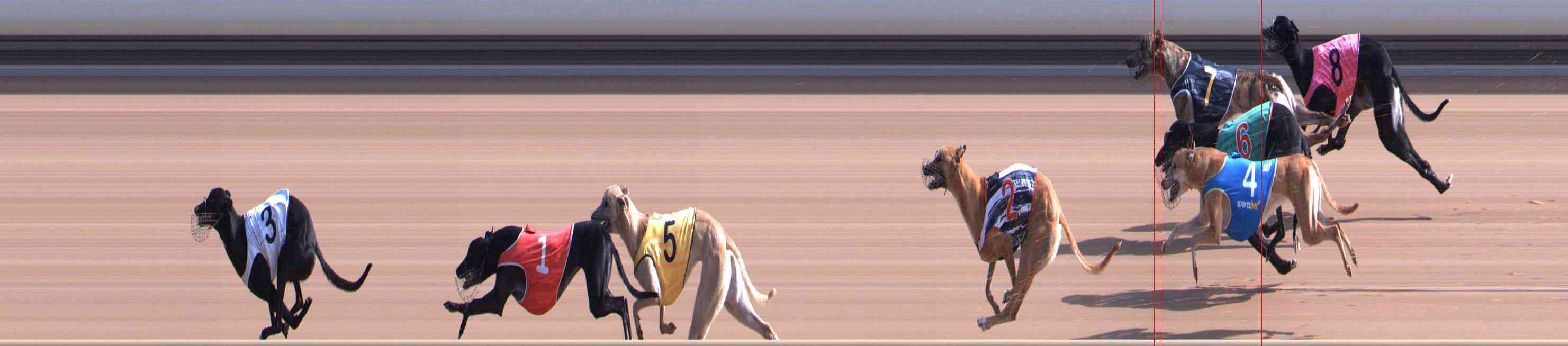 Photo finish for Healesville Race 3