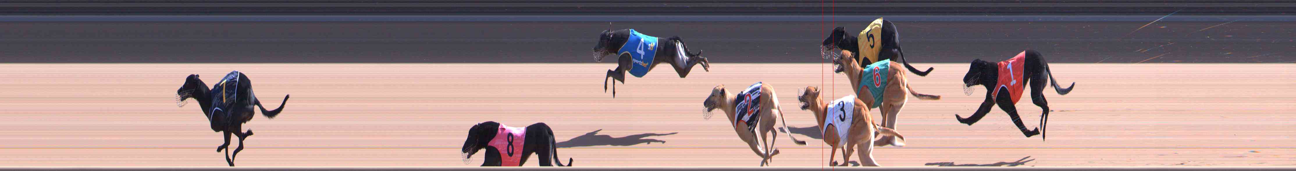 Photo finish for Healesville Race 6
