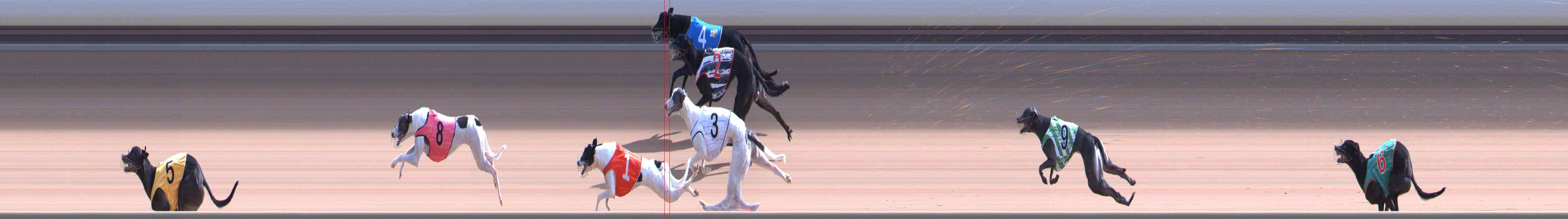Race result finish photo