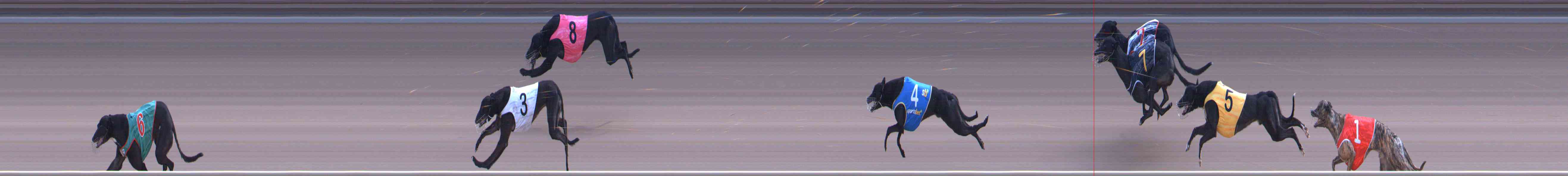 Race result finish photo