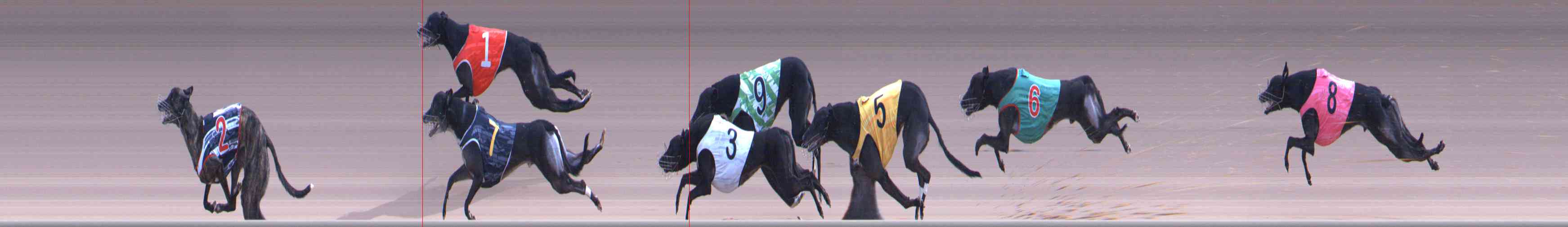 Photo finish for Healesville Race 10
