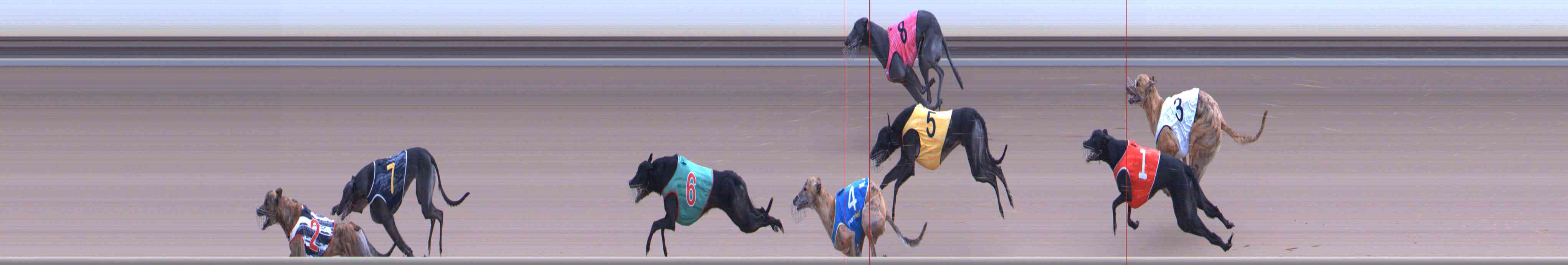 Photo finish for Healesville Race 11