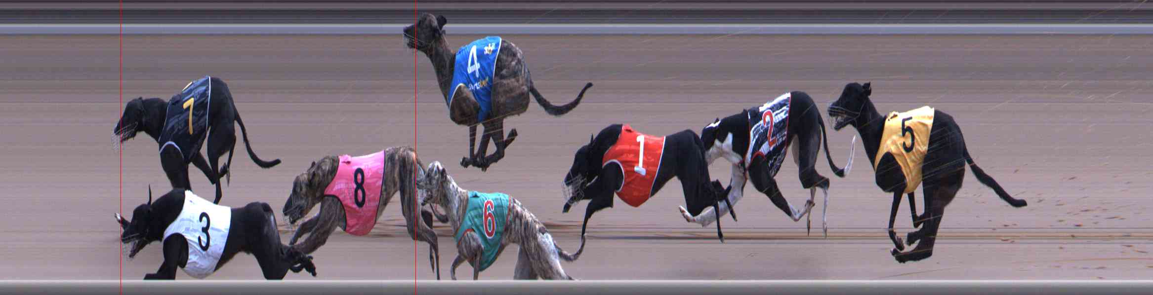 Photo finish for Healesville Race 12