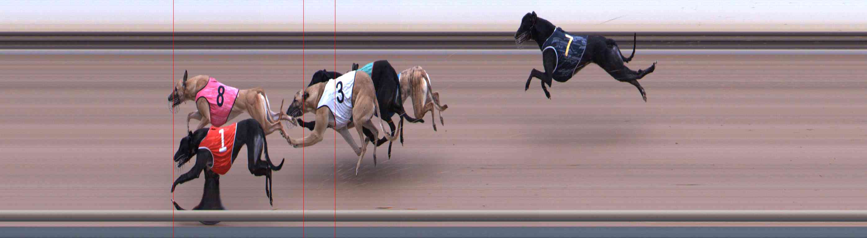 Photo finish for Healesville Race 1