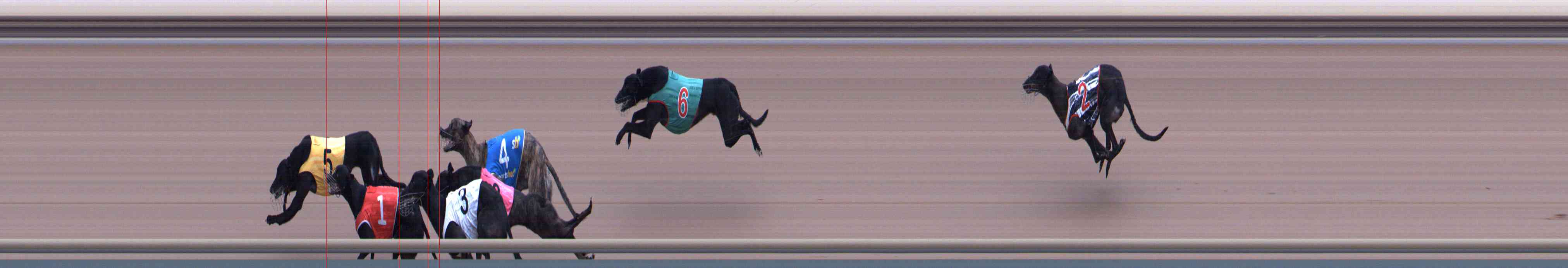 Photo finish for Healesville Race 10