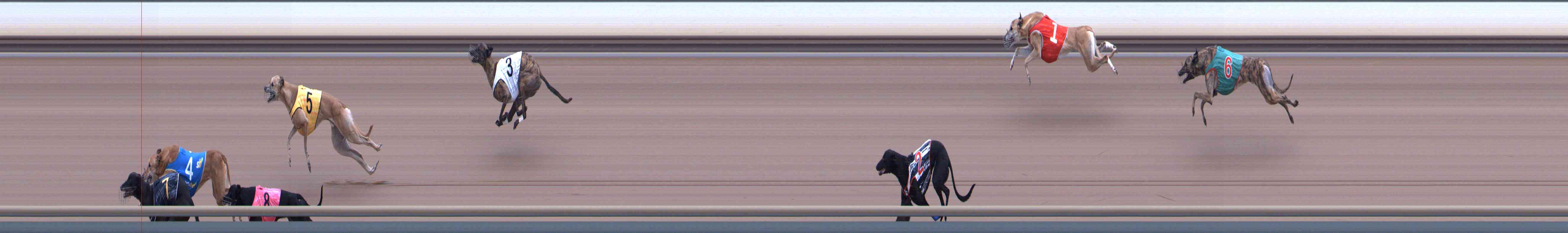 Photo finish for Healesville Race 12