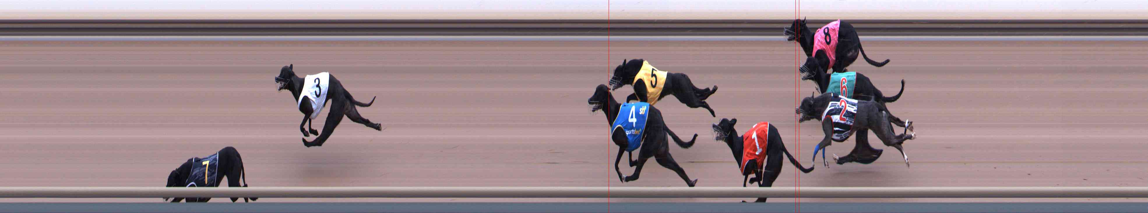 Photo finish for Healesville Race 2