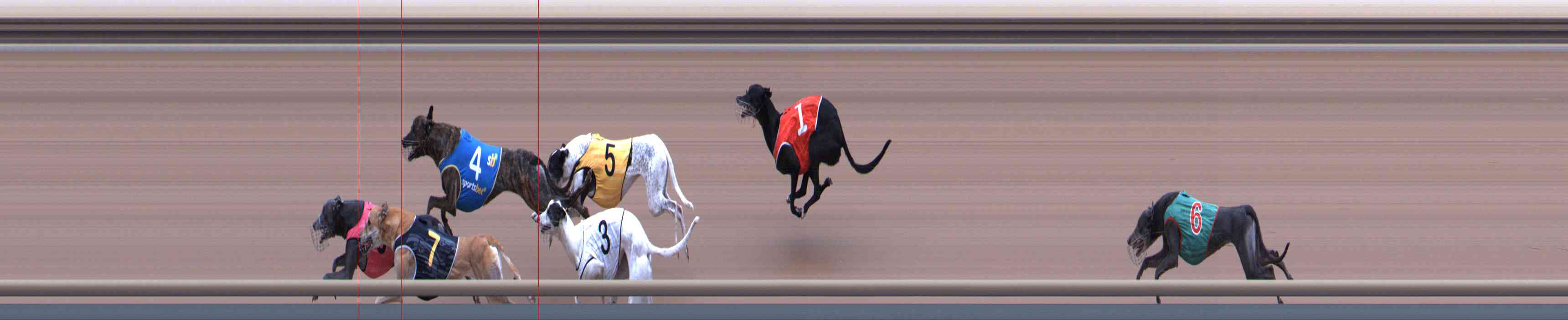 Photo finish for Healesville Race 3