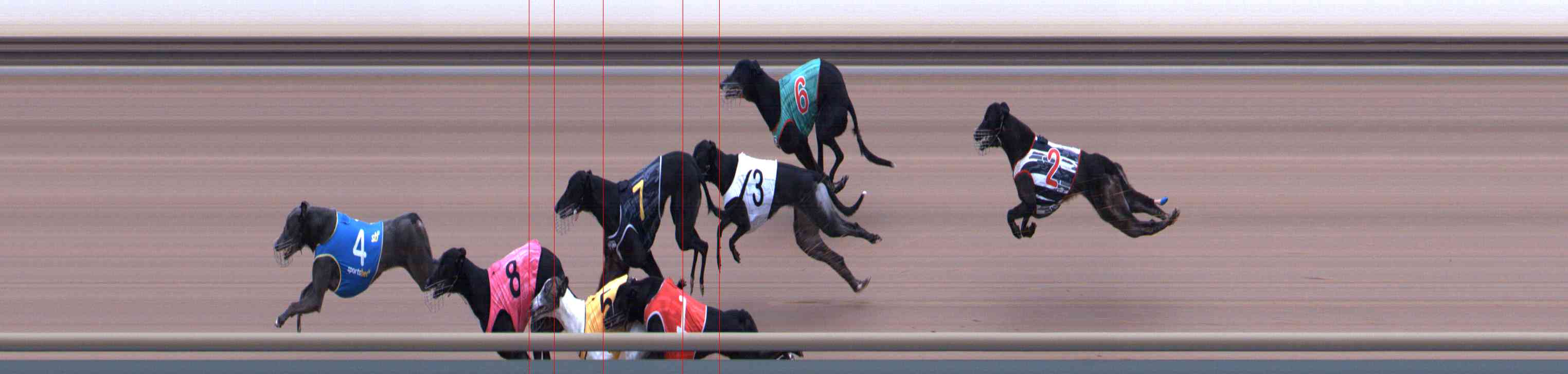 Photo finish for Healesville Race 4