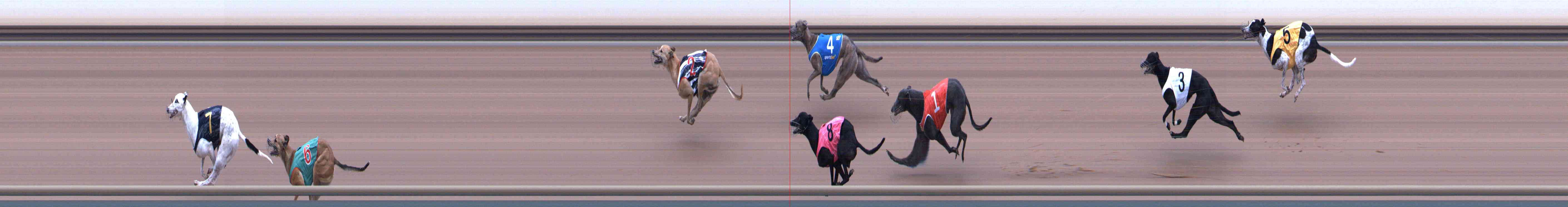 Photo finish for Healesville Race 5