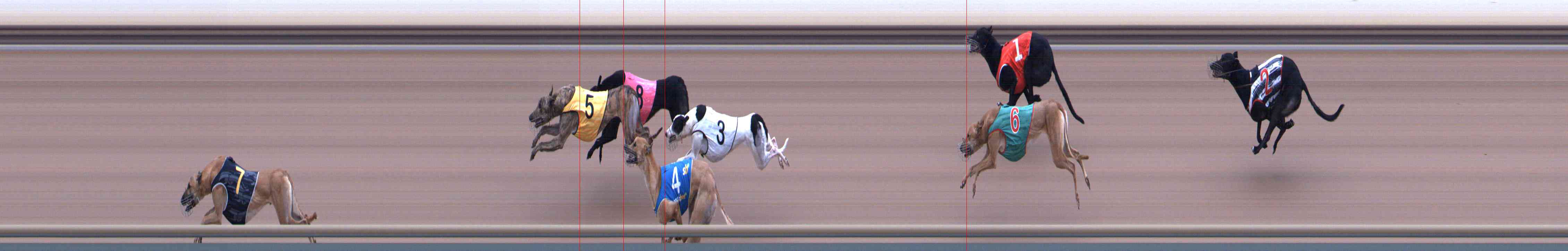 Photo finish for Healesville Race 7