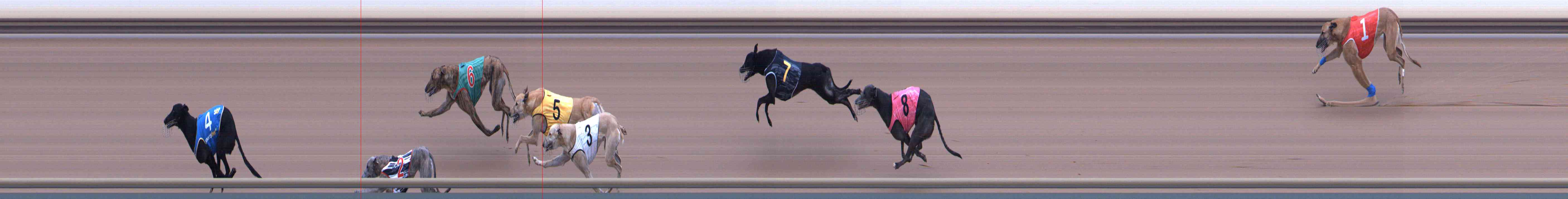 Photo finish for Healesville Race 8