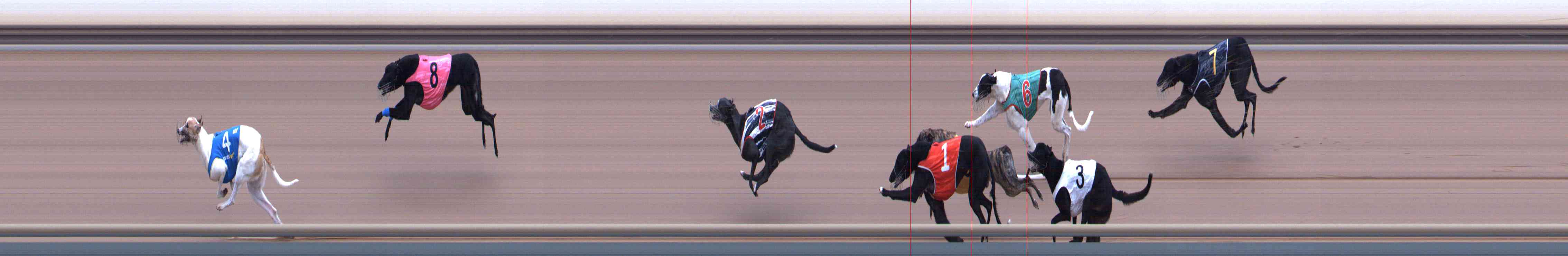 Photo finish for Healesville Race 9