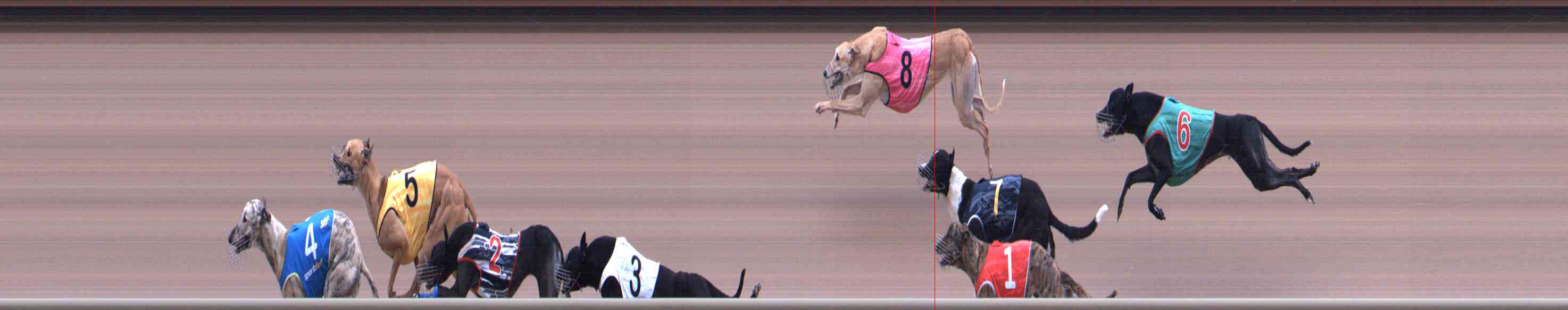 Photo finish for Healesville Race 1