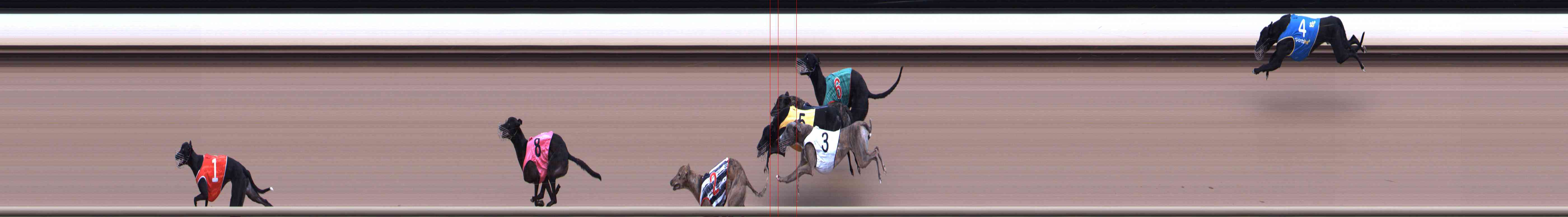 Photo finish for Healesville Race 3