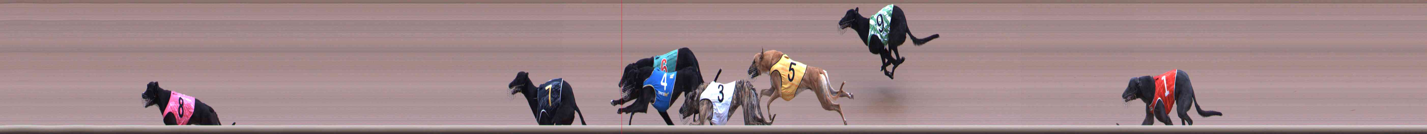 Photo finish for Healesville Race 4