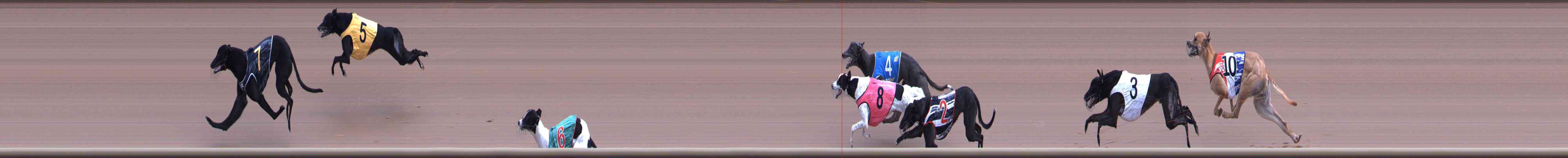 Photo finish for Healesville Race 5