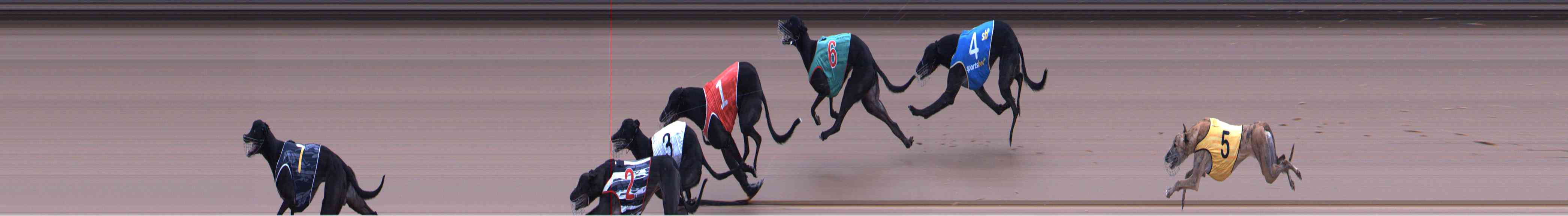 Photo finish for Healesville Race 6