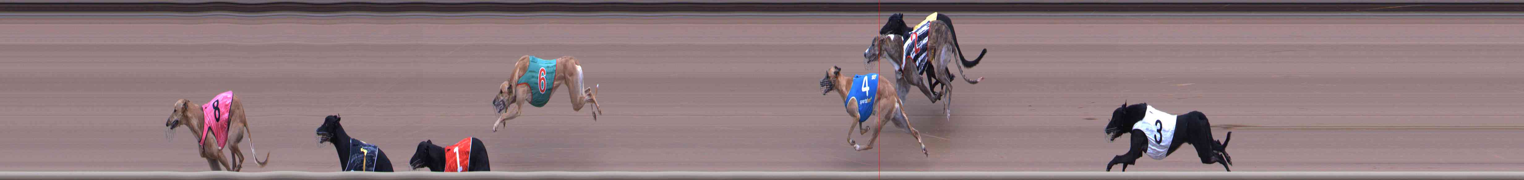 Photo finish for Healesville Race 7