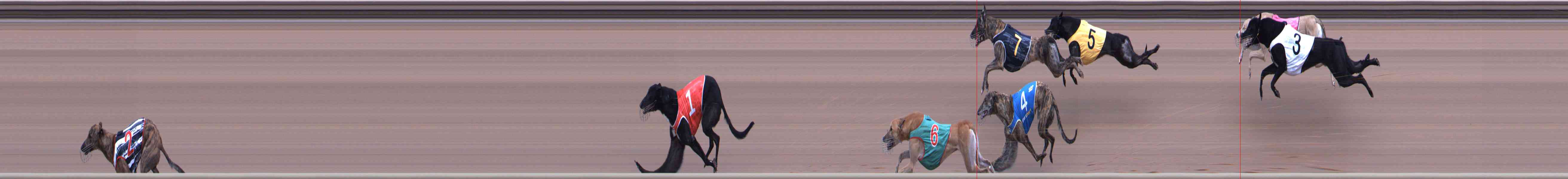 Photo finish for Healesville Race 8