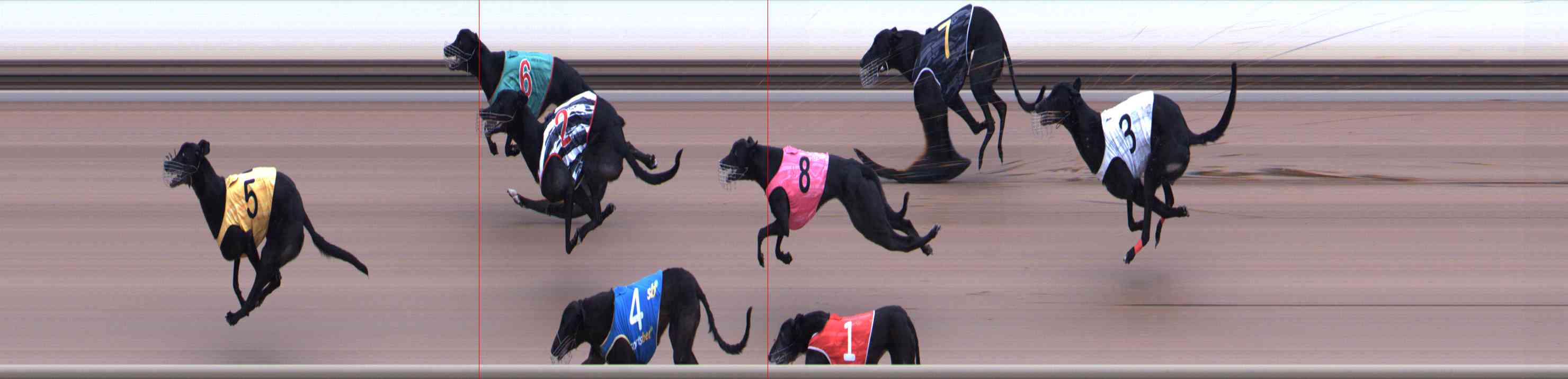 Photo finish for Healesville Race 9