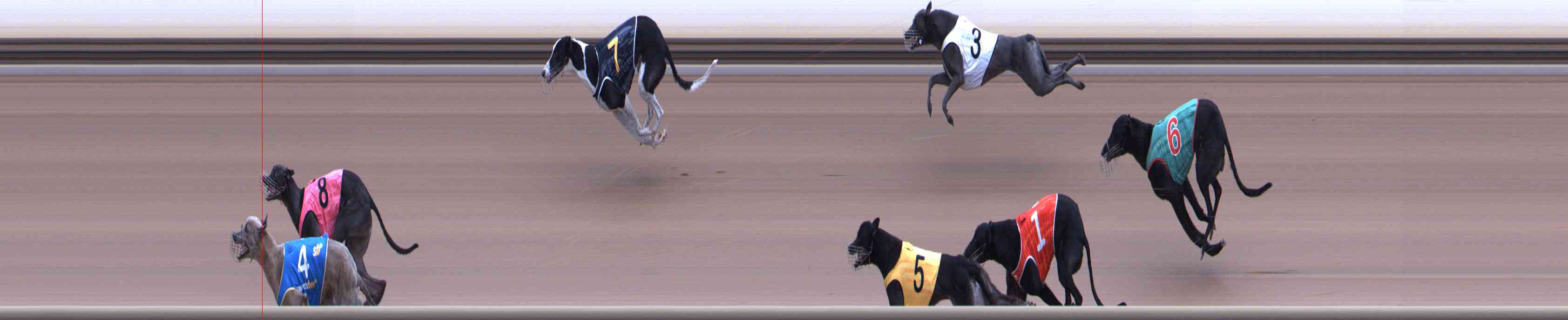 Photo finish for Healesville Race 10