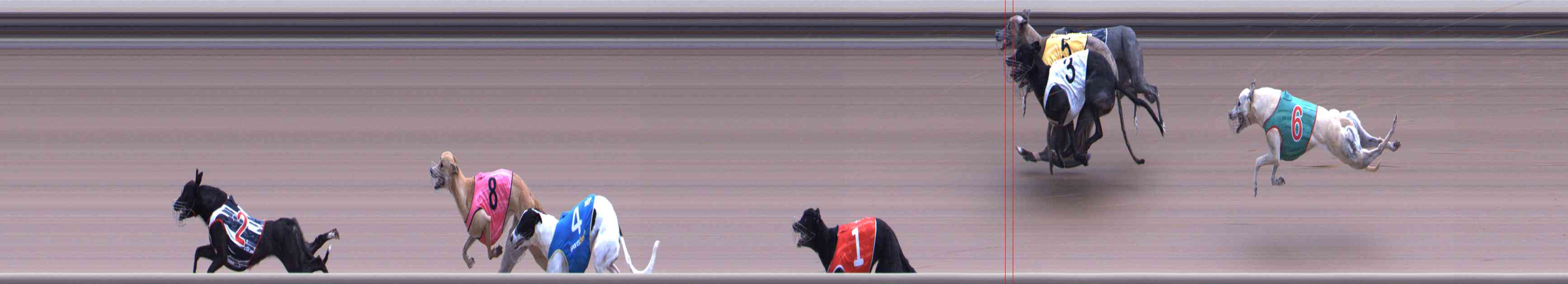 Photo finish for Healesville Race 11