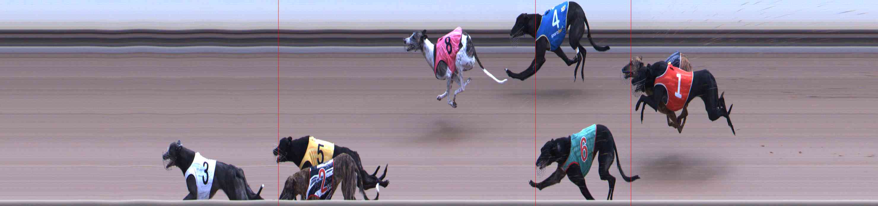 Photo finish for Healesville Race 12