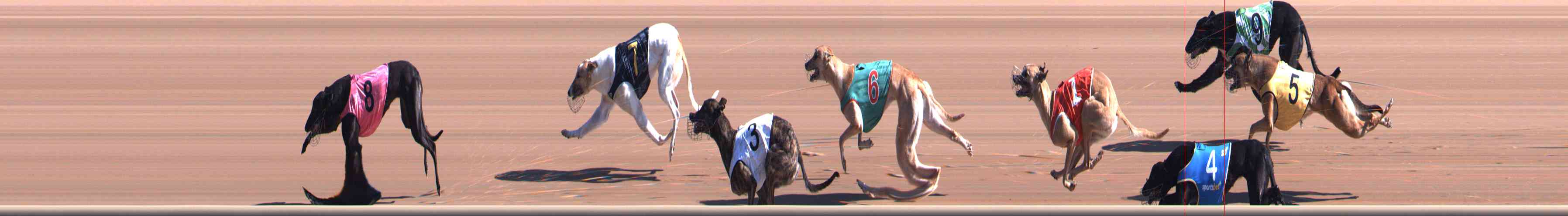 Photo finish for Healesville Race 2