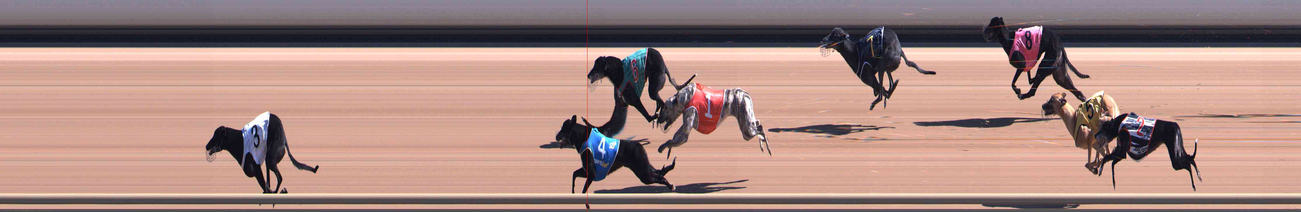 Photo finish for Healesville Race 3
