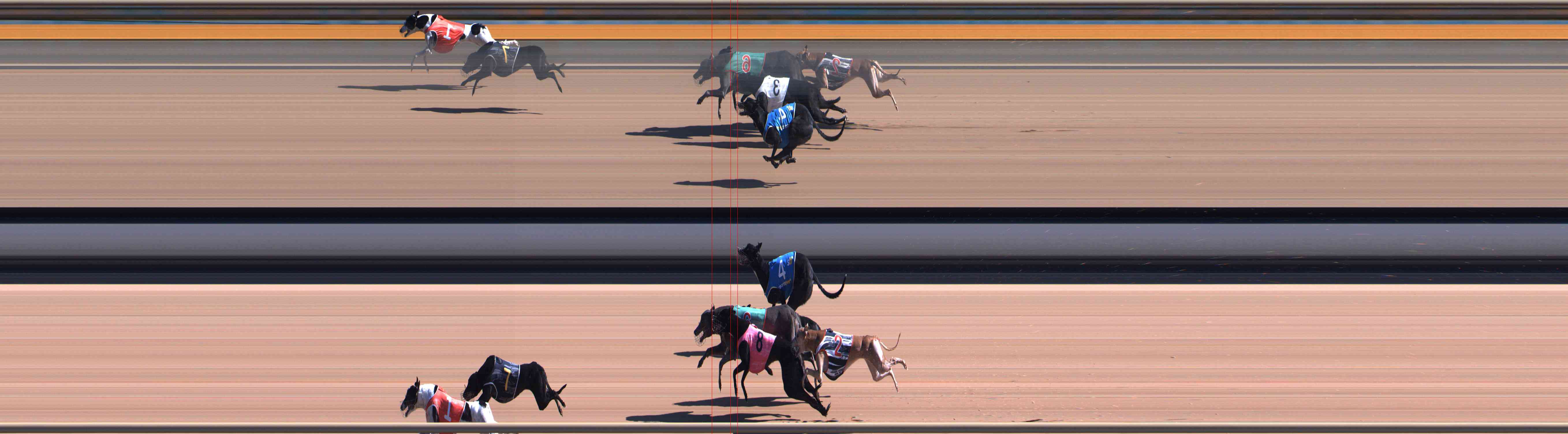 Photo finish for Healesville Race 4