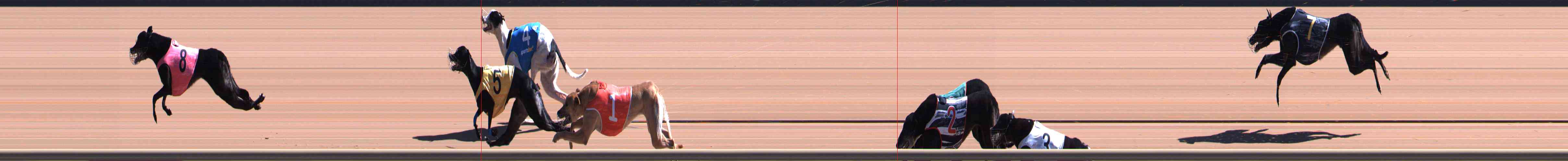 Photo finish for Healesville Race 5