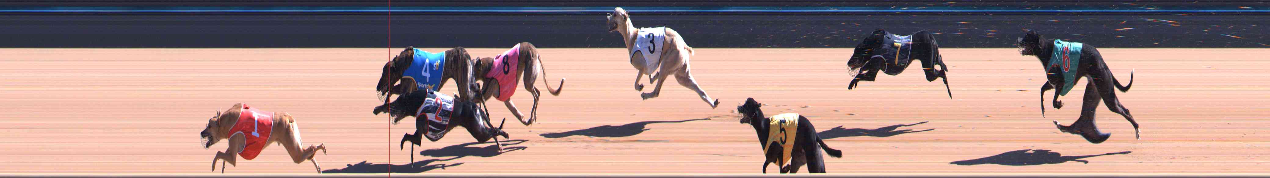 Photo finish for Healesville Race 6