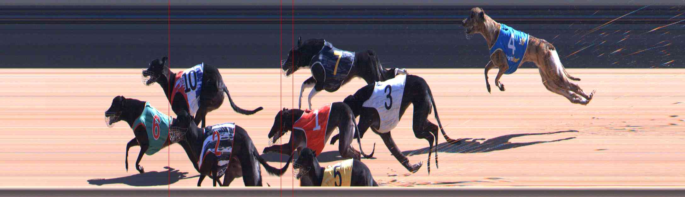 Photo finish for Healesville Race 7