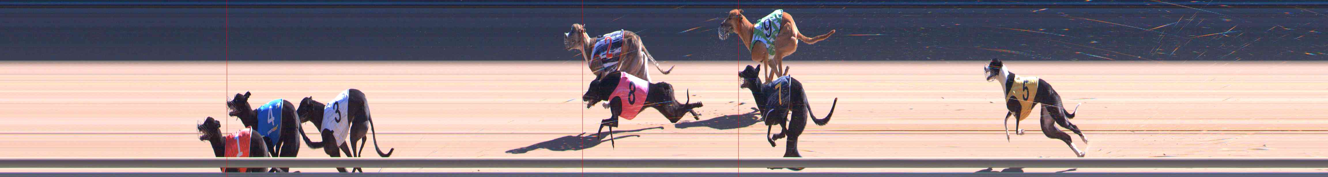 Photo finish for Healesville Race 8