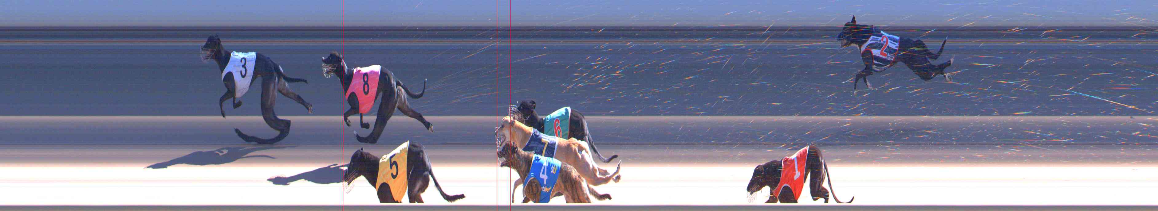 Photo finish for Healesville Race 9