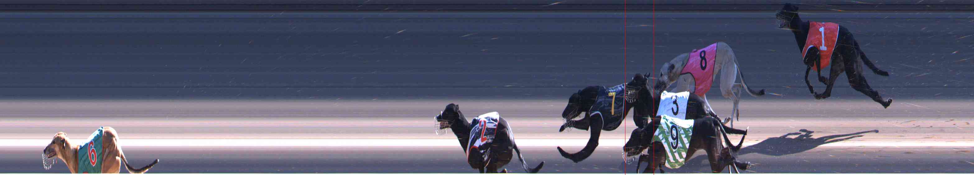 Photo finish for Healesville Race 10