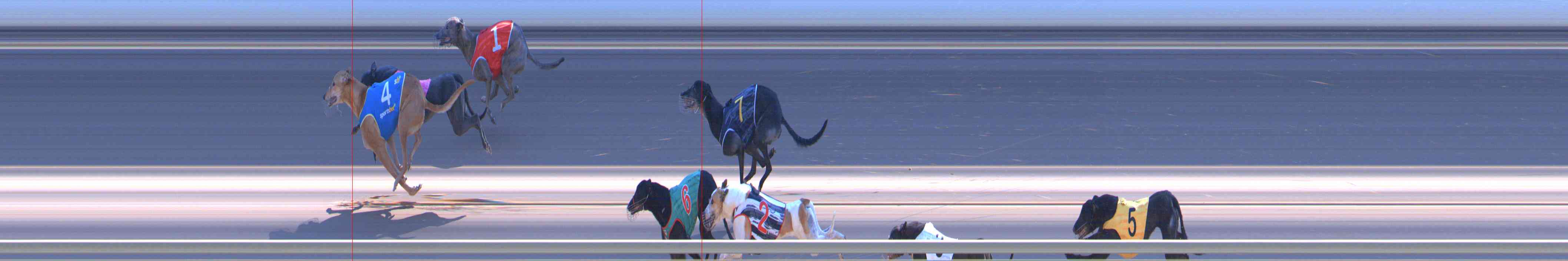 Photo finish for Healesville Race 11