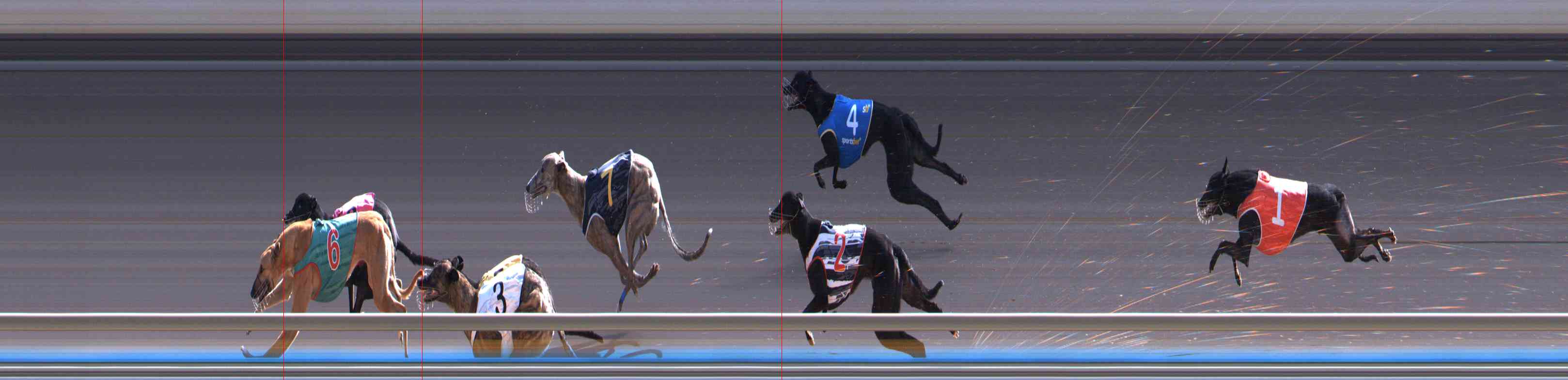 Photo finish for Healesville Race 10