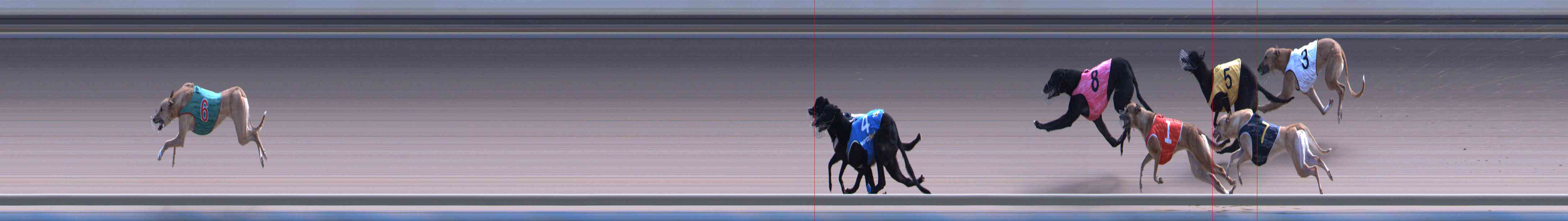Photo finish for Healesville Race 11