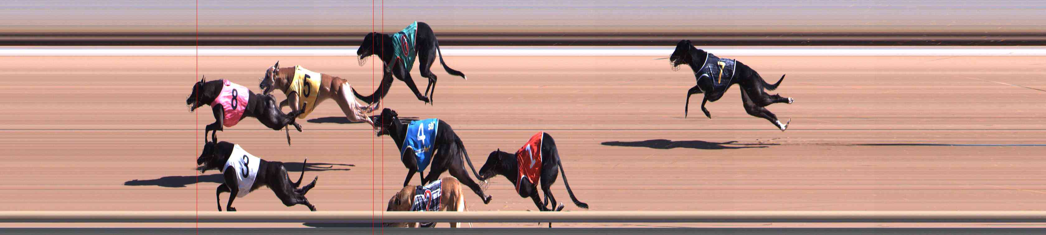 Photo finish for Healesville Race 2