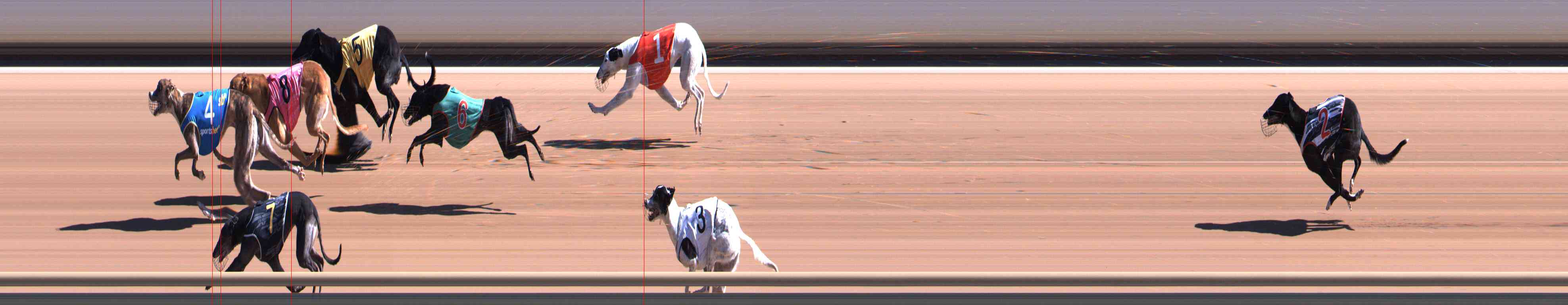 Photo finish for Healesville Race 3