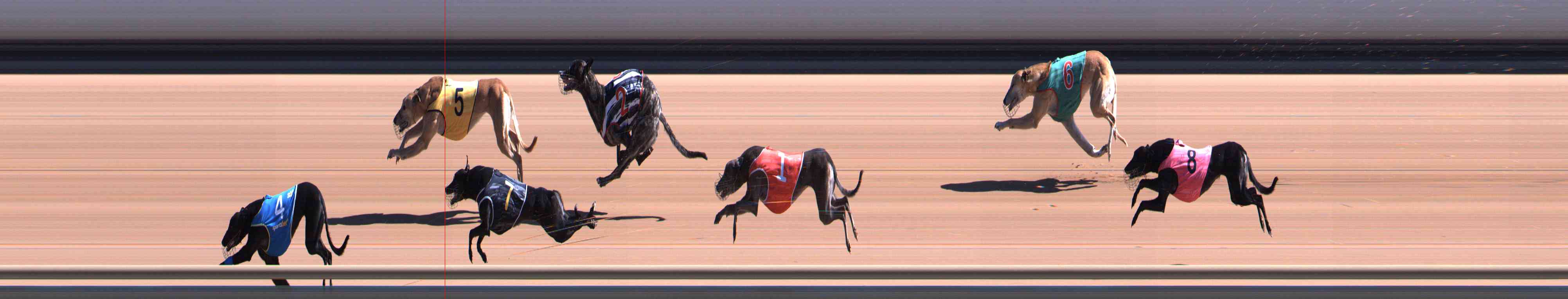 Photo finish for Healesville Race 4