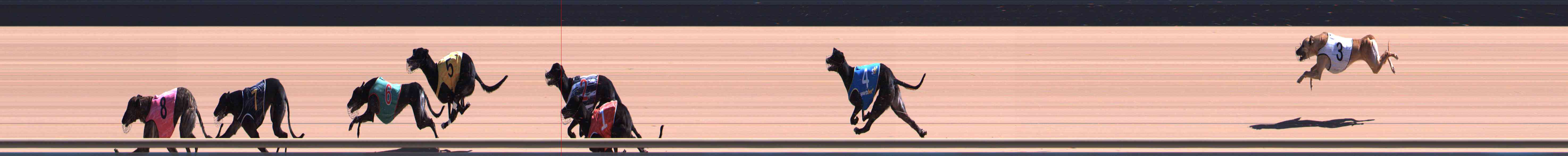 Photo finish for Healesville Race 6