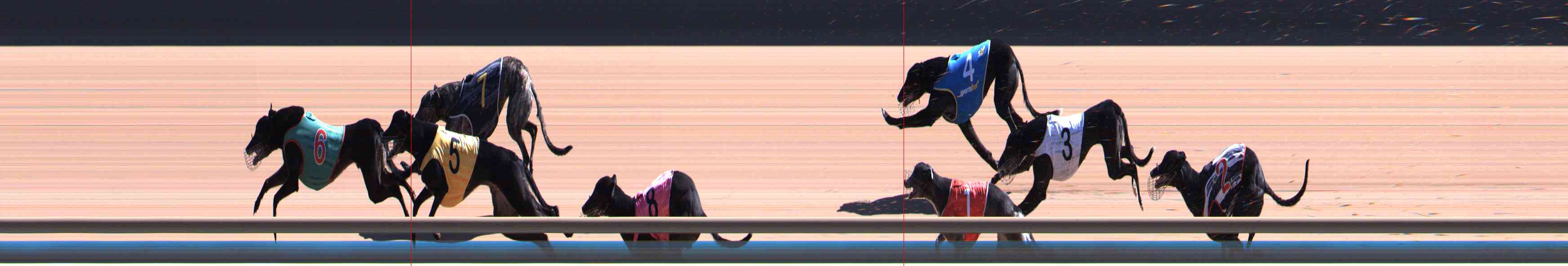 Photo finish for Healesville Race 7