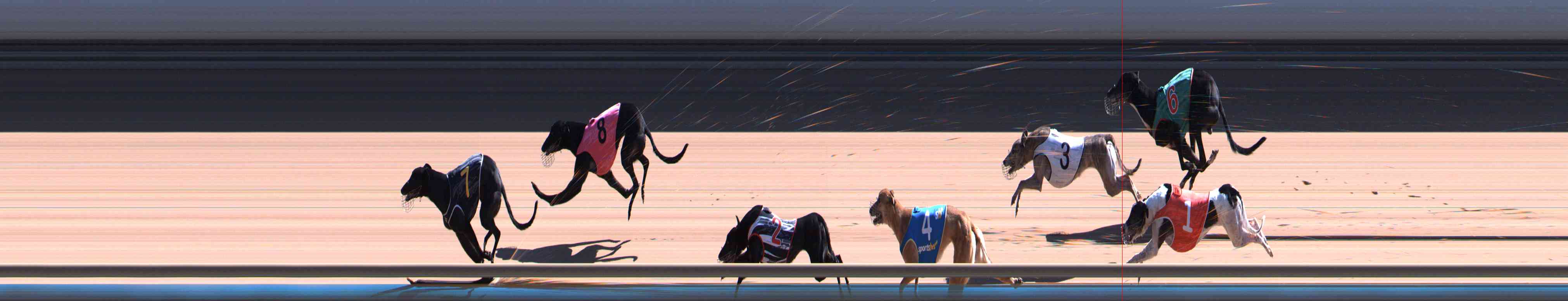 Photo finish for Healesville Race 8