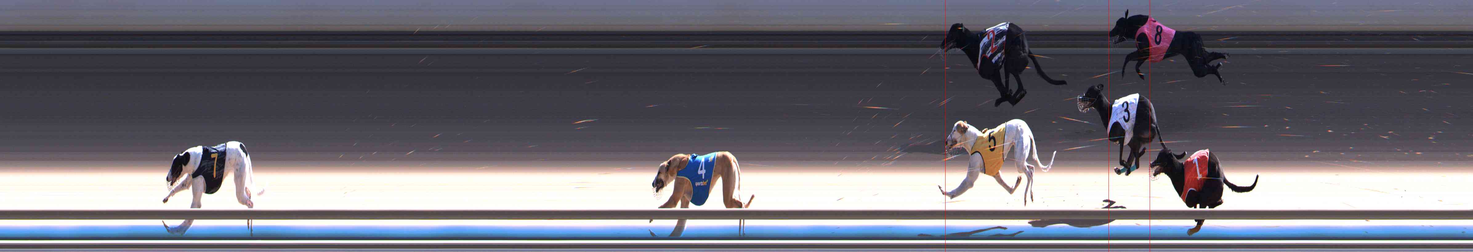 Photo finish for Healesville Race 9