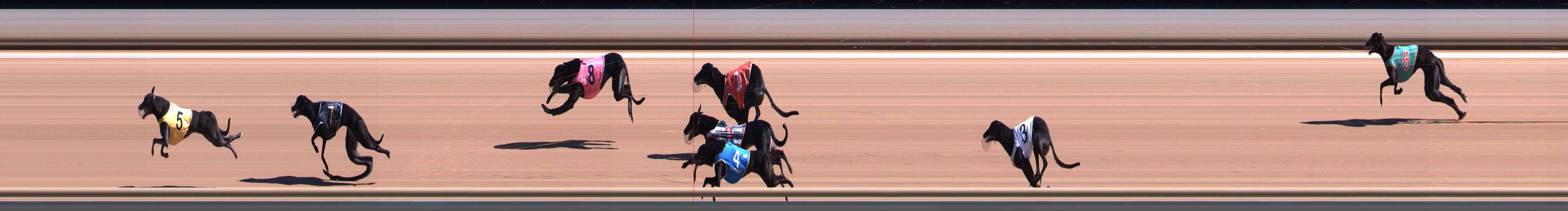 Race result finish photo